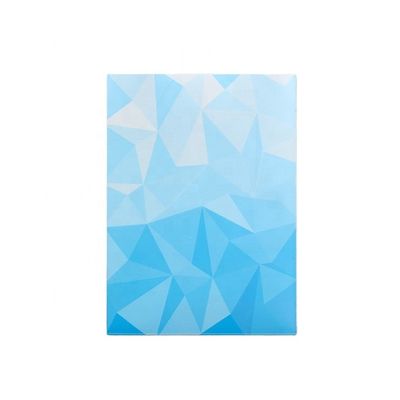 Drukowanie graficzne Niestandardowe rękawki kart 66x91 66x92 Do ochrony bez kwasu PVC